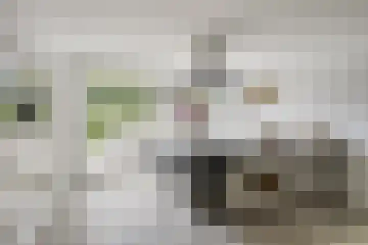 Gildebongerd 23 Zeddam thumbnail 12
