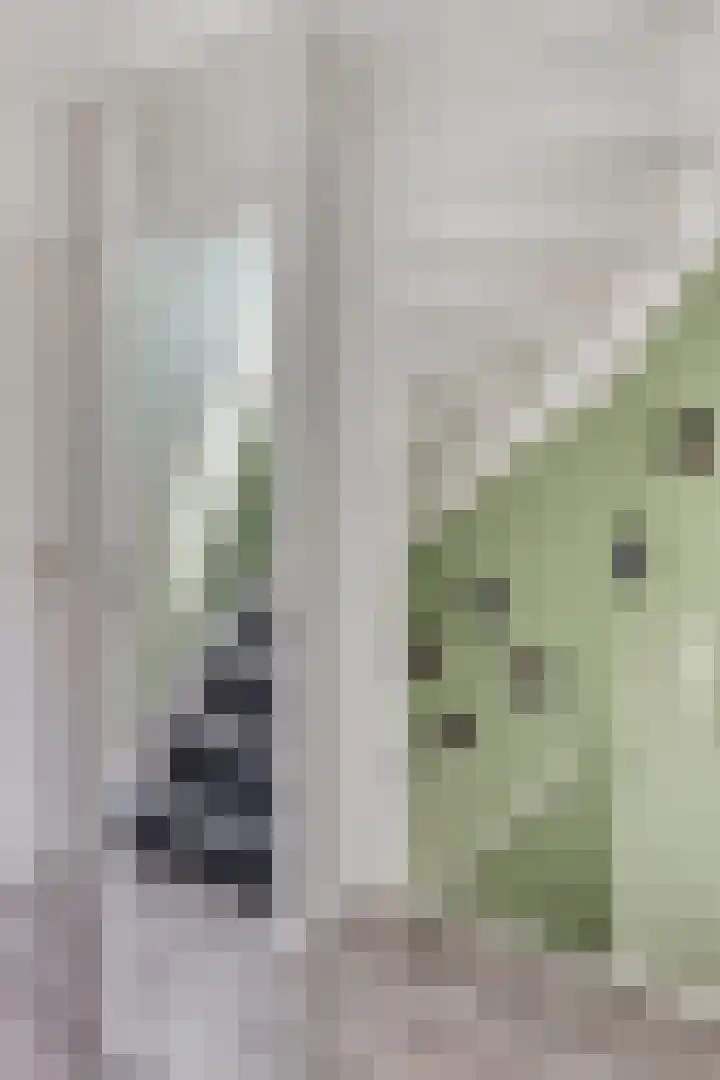 Gildebongerd 23 Zeddam thumbnail 30