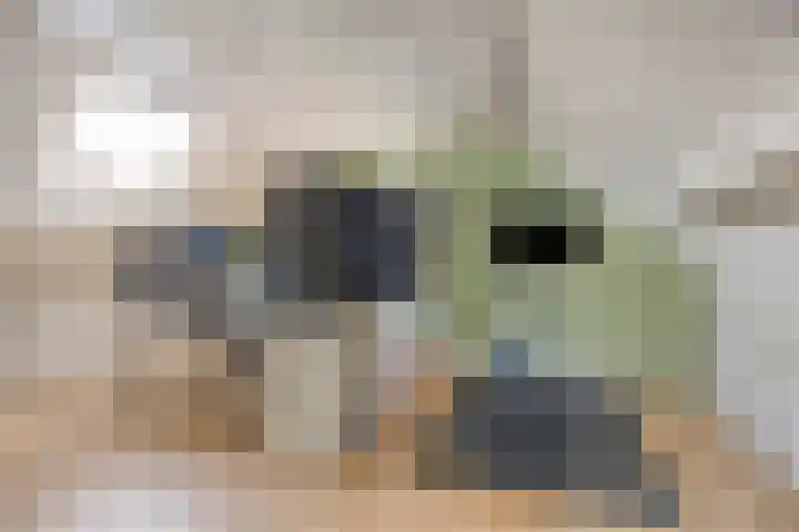 Gildebongerd 23 Zeddam thumbnail 31