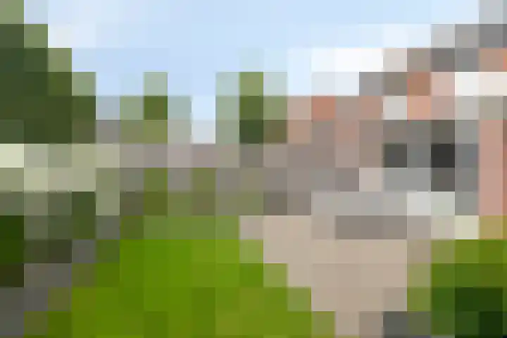 Gildebongerd 23 Zeddam thumbnail 33