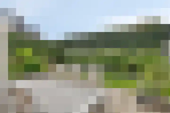 Gildebongerd 23 Zeddam thumbnail 34