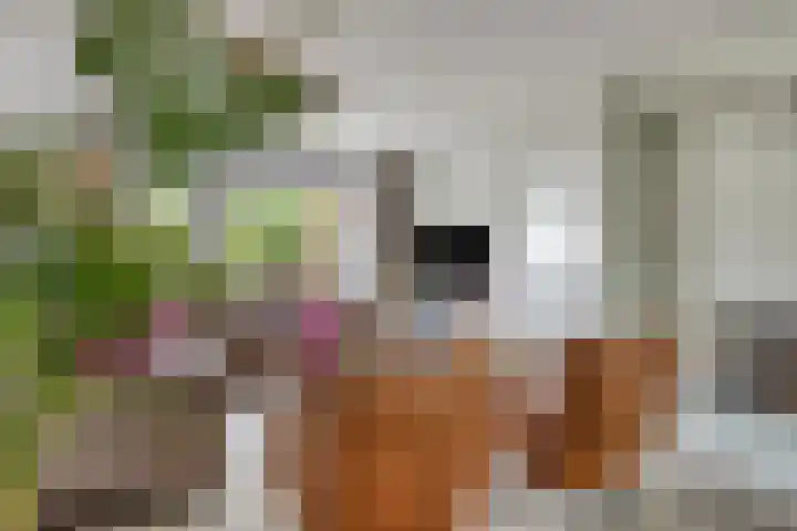 Gildebongerd 23 Zeddam thumbnail 8