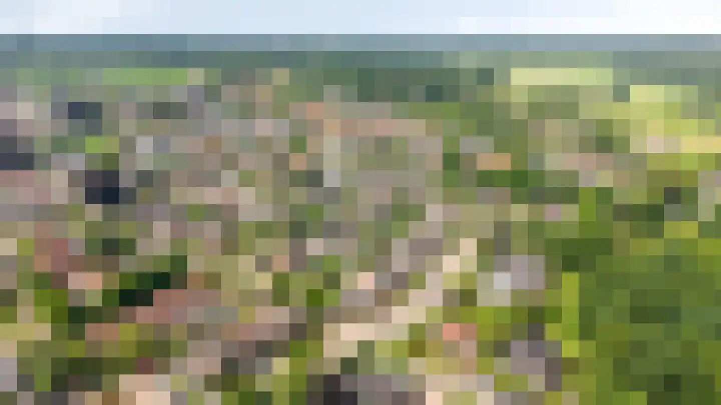 Gildebongerd 28 Zeddam thumbnail 63