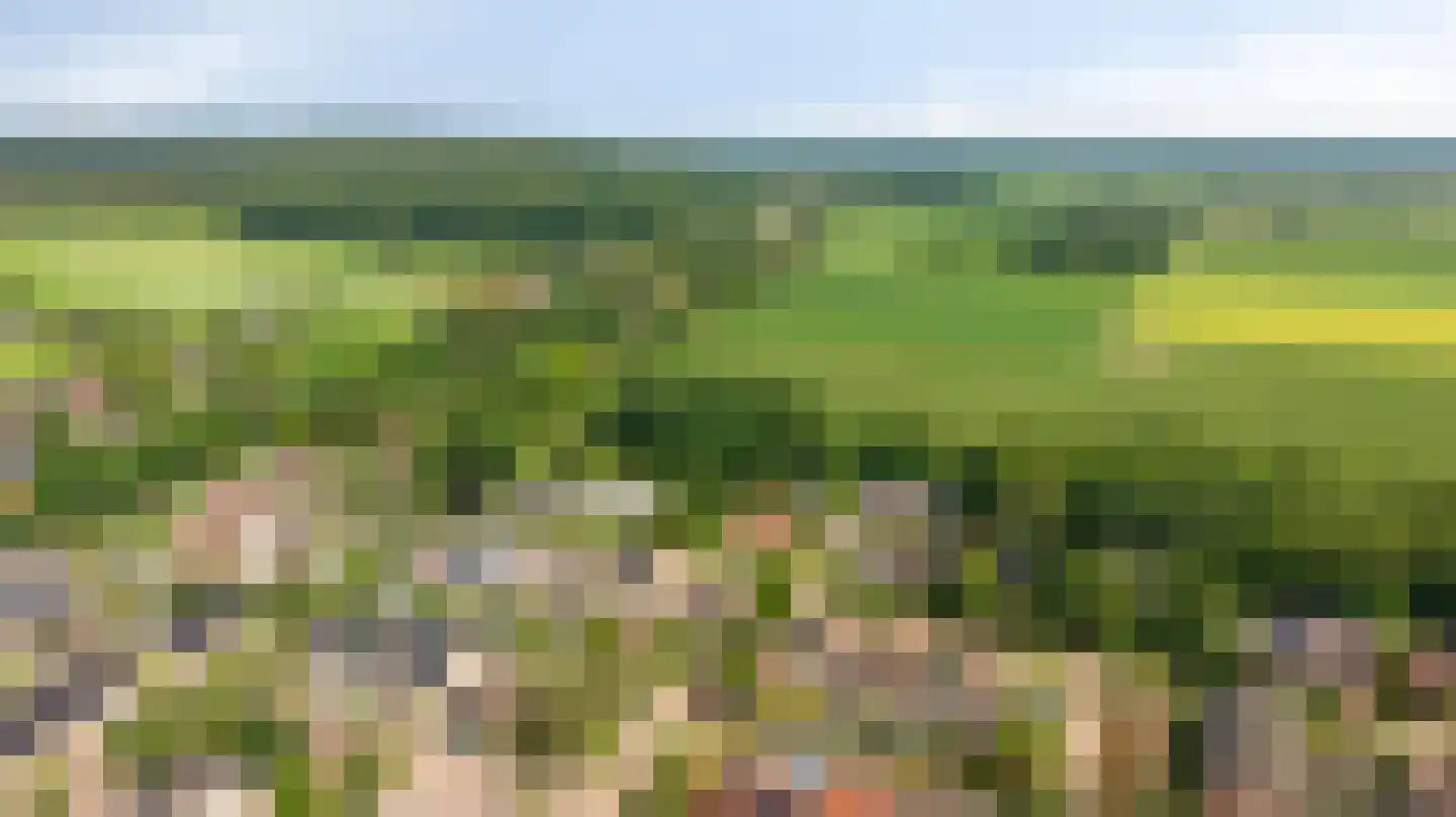 Gildebongerd 28 Zeddam thumbnail 64