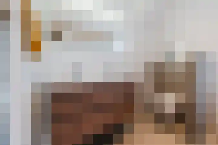 Gildebroederpad 2 Valkenswaard thumbnail 36