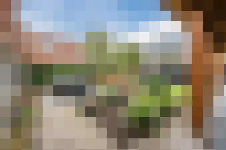 Gildebroederpad 2 Valkenswaard thumbnail 47