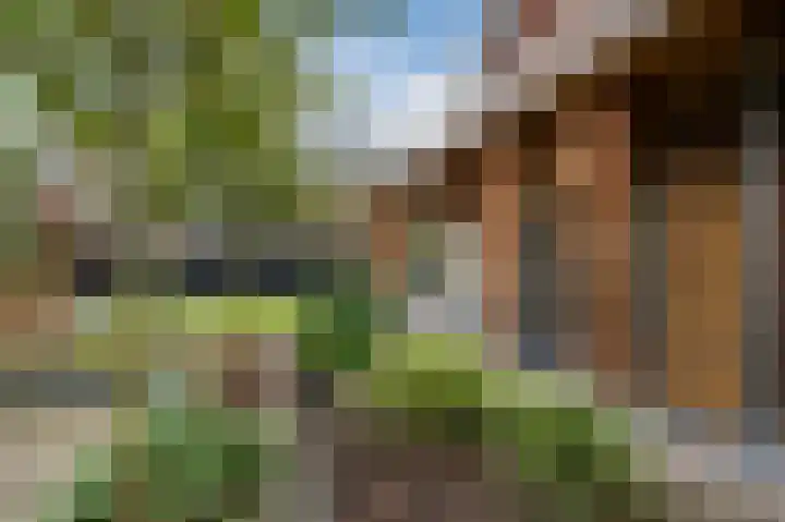 Gildebroederpad 2 Valkenswaard thumbnail 48