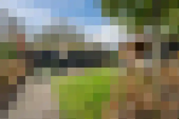 Gildebroederpad 2 Valkenswaard thumbnail 50