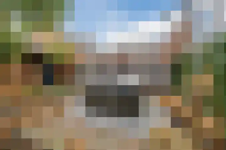 Gildebroederpad 2 Valkenswaard thumbnail 51
