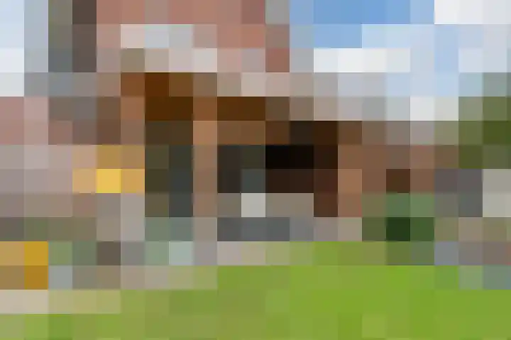 Gildebroederpad 2 Valkenswaard thumbnail 58