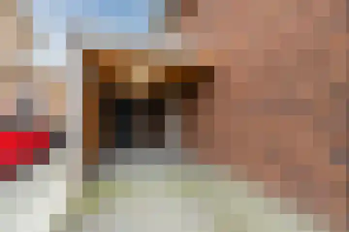 Gildebroederpad 2 Valkenswaard thumbnail 65