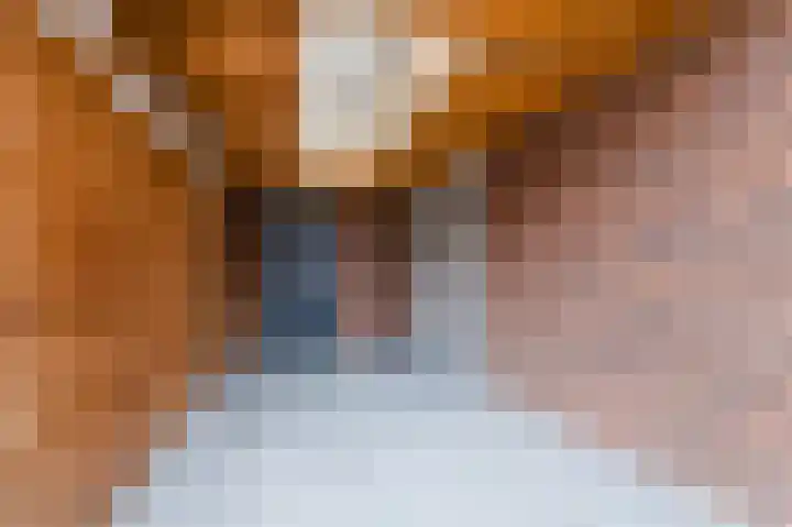 Gildebroederpad 2 Valkenswaard thumbnail 66