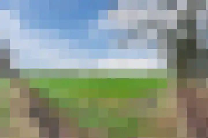 Gildebroederpad 2 Valkenswaard thumbnail 70