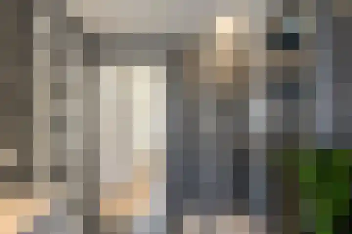 Gildebroedersstraat 24 Tilburg thumbnail 17