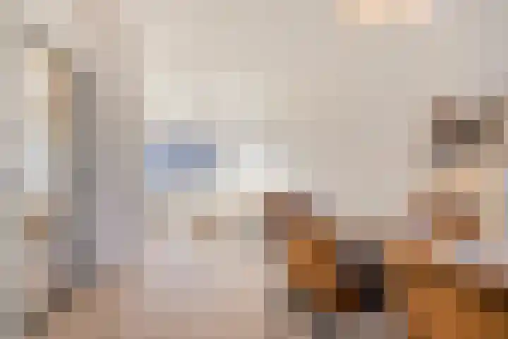 Gildebroedersstraat 35 Tilburg thumbnail 6