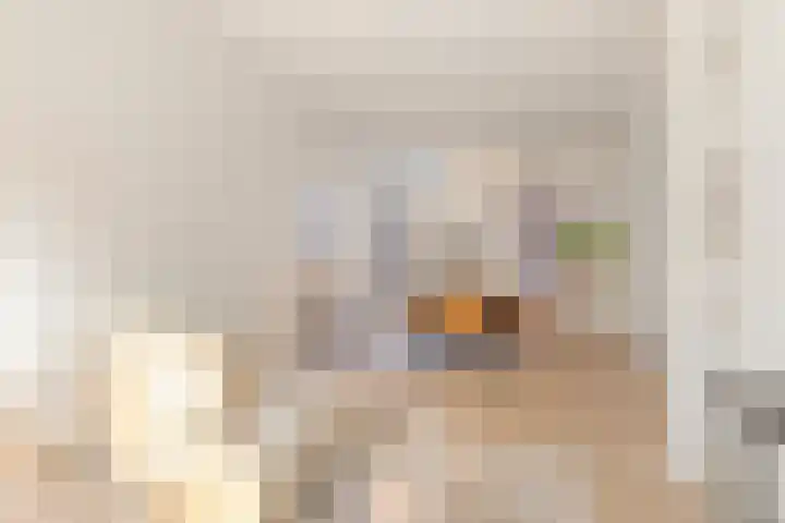 Gildebroedersstraat 35 Tilburg thumbnail 8