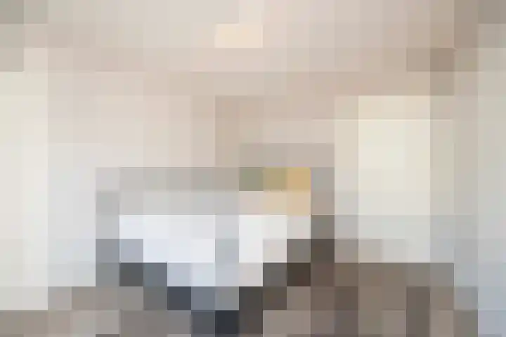 Gildebroedersstraat 47 Tilburg thumbnail 17