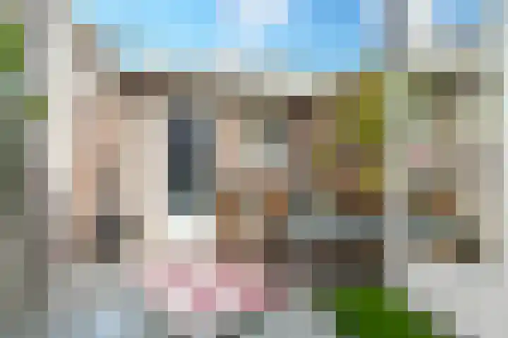 Gildebroedersstraat 47 Tilburg thumbnail 28