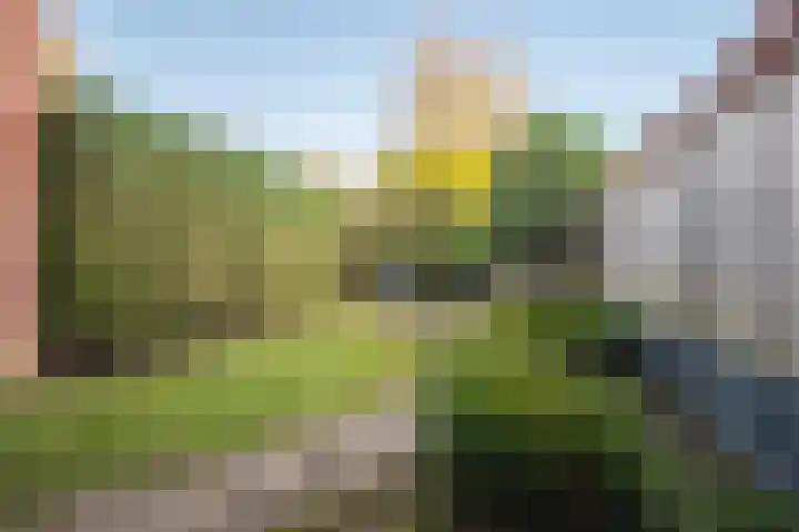 Gildedreef 25 Duiven thumbnail 18