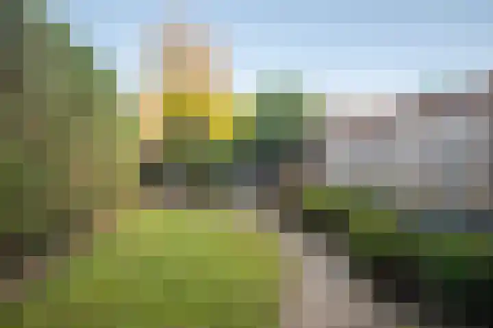 Gildedreef 25 Duiven thumbnail 19