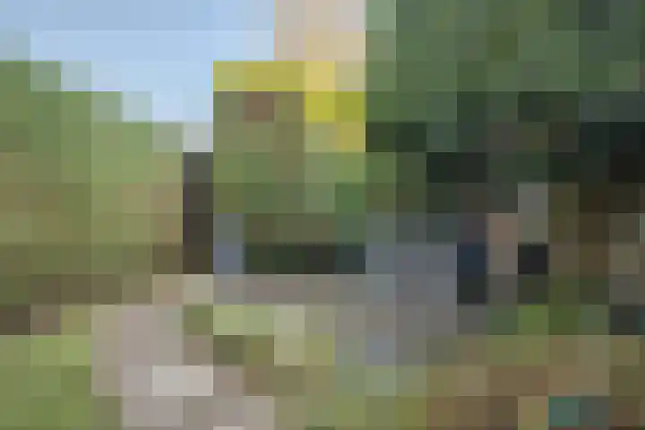 Gildedreef 25 Duiven thumbnail 21