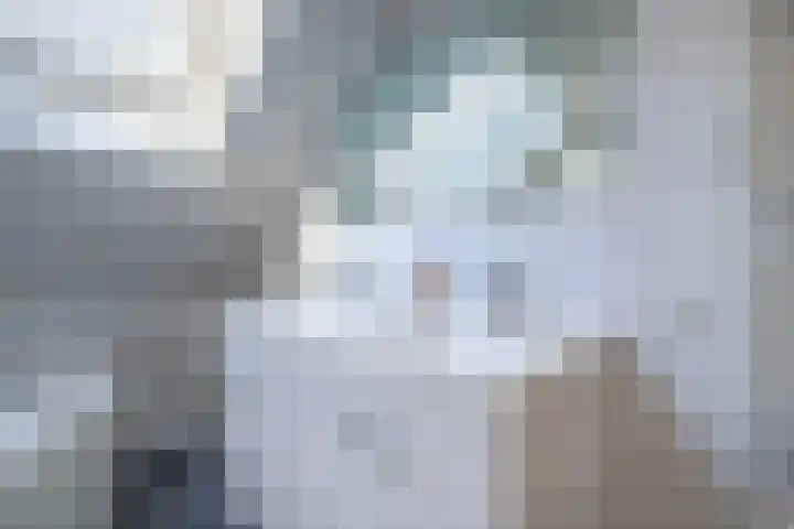 Gildedreef 25 Duiven thumbnail 26