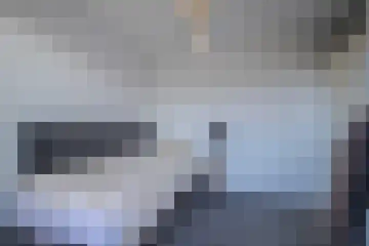 Gildedreef 25 Duiven thumbnail 31