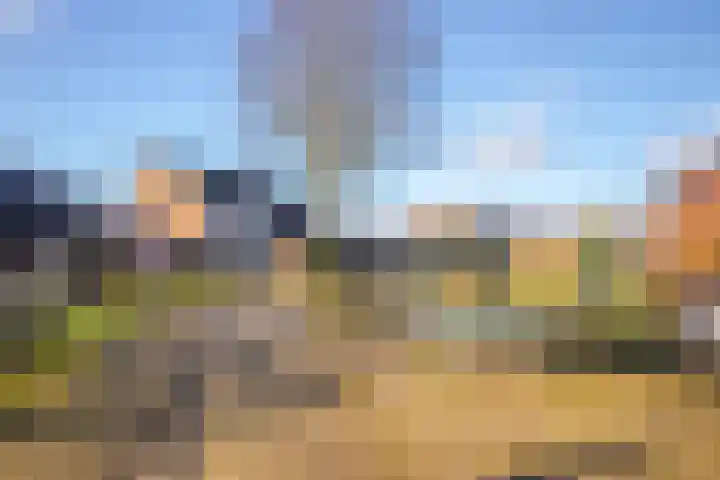 Gildedreef 25 Duiven thumbnail 36