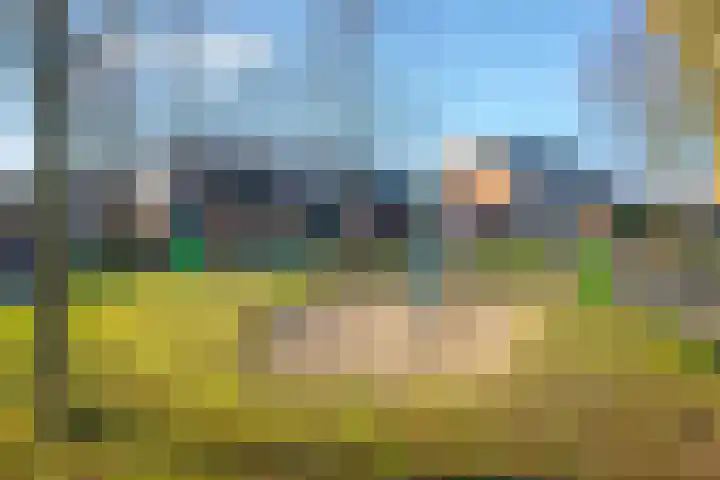 Gildedreef 25 Duiven thumbnail 37