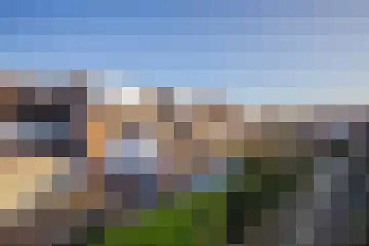 Gildedreef 25 Duiven thumbnail 5