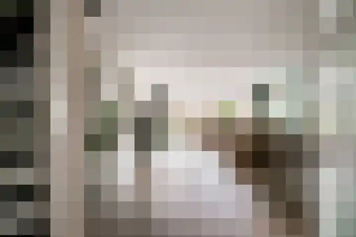 Gildedreef 58 Duiven thumbnail 12