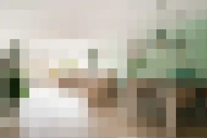 Gildedreef 58 Duiven thumbnail 13