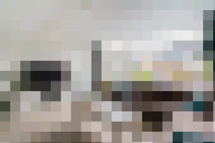Gildedreef 58 Duiven thumbnail 14