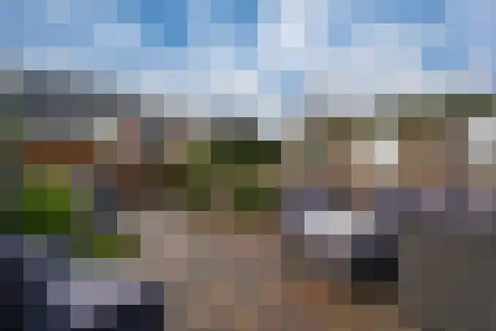 Gildedreef 58 Duiven thumbnail 15