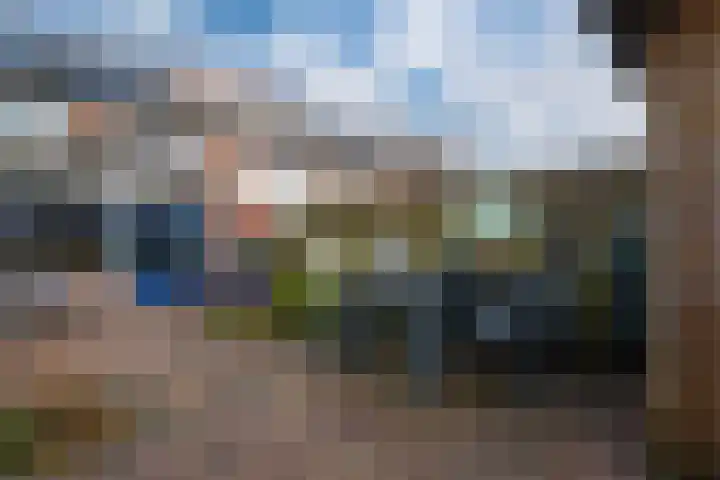 Gildedreef 58 Duiven thumbnail 16