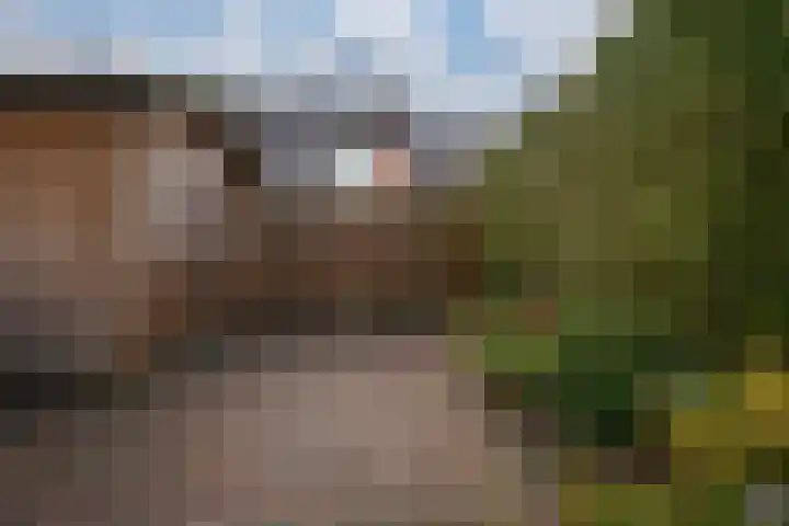 Gildedreef 58 Duiven thumbnail 17