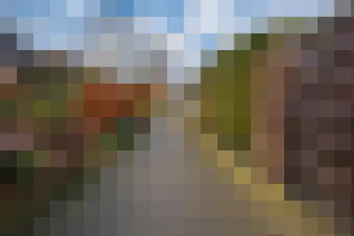 Gildedreef 58 Duiven thumbnail 18