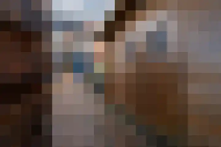 Gildedreef 58 Duiven thumbnail 19