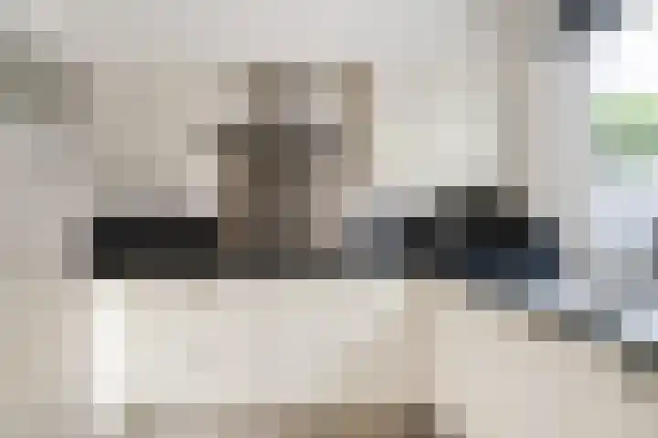 Gildedreef 58 Duiven thumbnail 26