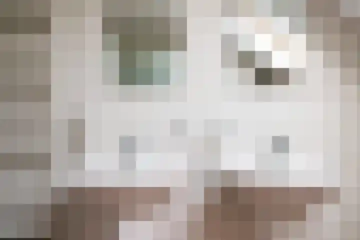 Gildedreef 58 Duiven thumbnail 37