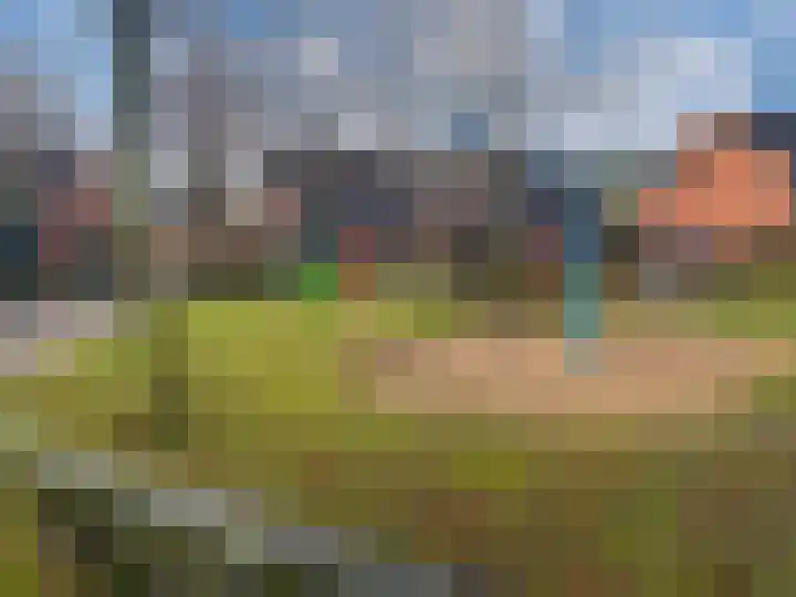 Gildedreef 58 Duiven thumbnail 46