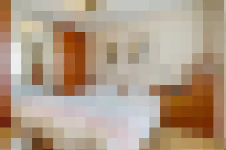 Gildedreef 66 Duiven thumbnail 20