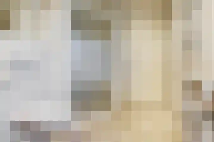 Gildedreef 66 Duiven thumbnail 22