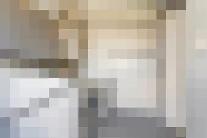 Gildedreef 66 Duiven thumbnail 25