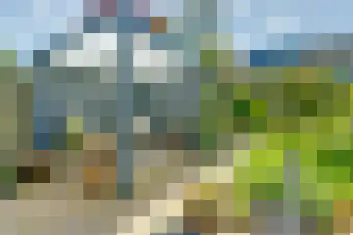 Gildedreef 66 Duiven thumbnail 31