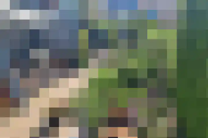Gildedreef 66 Duiven thumbnail 35