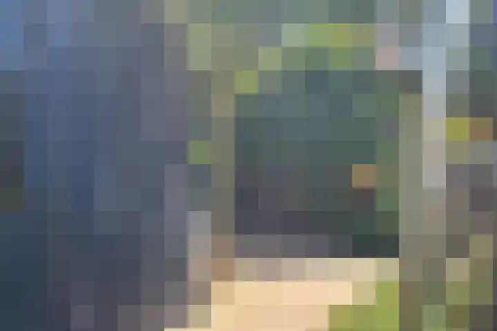 Gildedreef 66 Duiven thumbnail 37