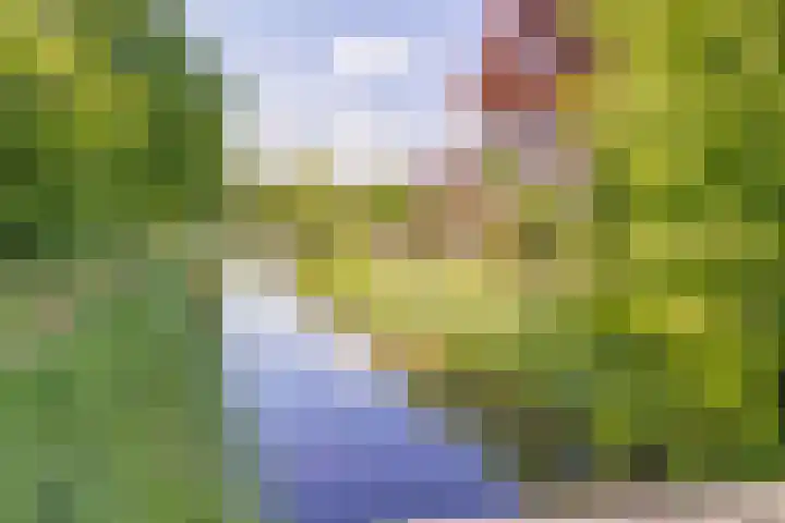 Gildedreef 66 Duiven thumbnail 39