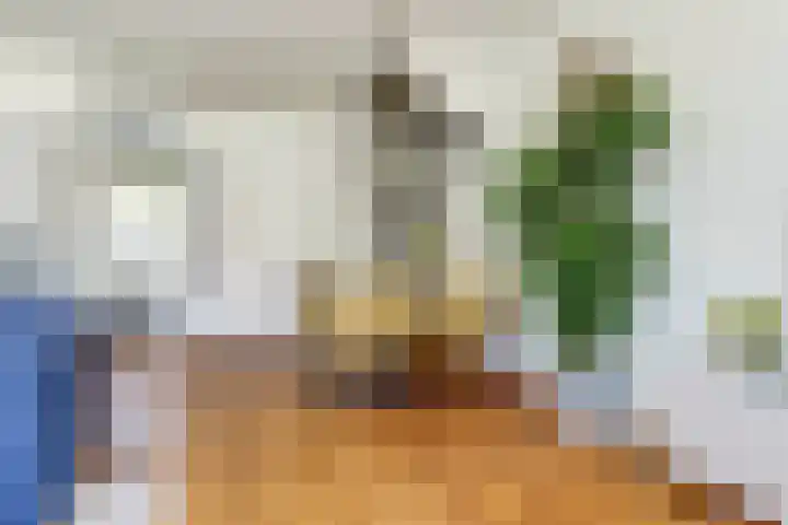 Gildedreef 66 Duiven thumbnail 8