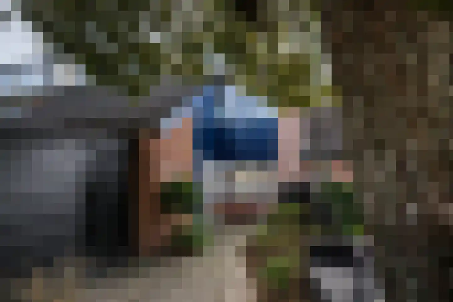 Gildedreef 74 Duiven